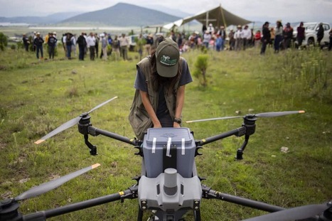 Mexico Battles Wildfire Damage with Drone-Based Reforestation - TicoTimes.net | Operation Deimos | Scoop.it