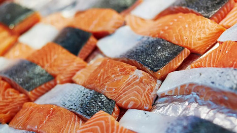 Le breton Oc&eacute;alliance s'ancre un peu plus &agrave; Boulogne-sur-Mer | revue de presse | Scoop.it