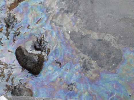 Traces de pollution aux abords de la neste du Louron | Vallées d'Aure & Louron - Pyrénées | Scoop.it