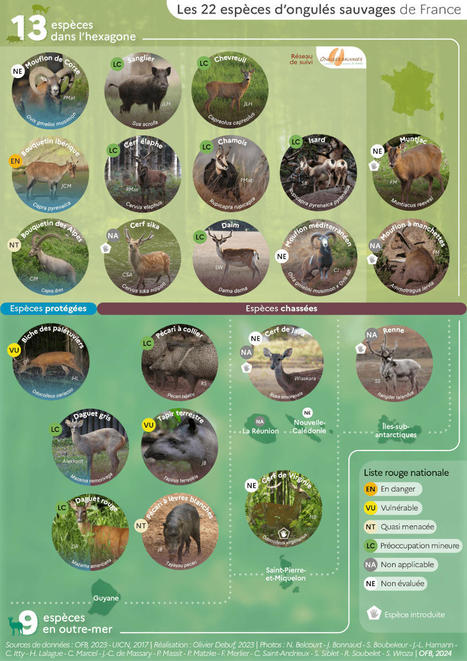 Dataviz - Présence des ongulés sauvages en France | Biodiversité | Scoop.it