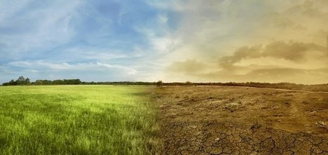 Consumers demand action on climate change &mdash; and it's time for retailers to listen | Sustainable Procurement News | Scoop.it