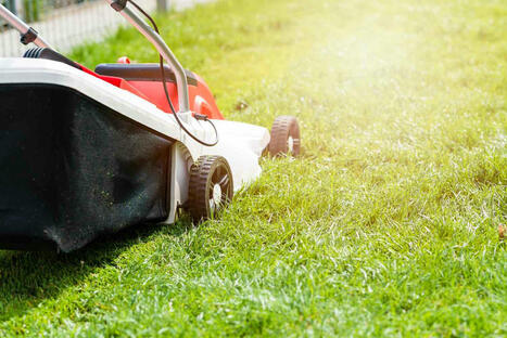 The Worst Time To Mow Your Grass If You Want A Healthy Lawn | Best Backyard Patio Garden Scoops | Scoop.it