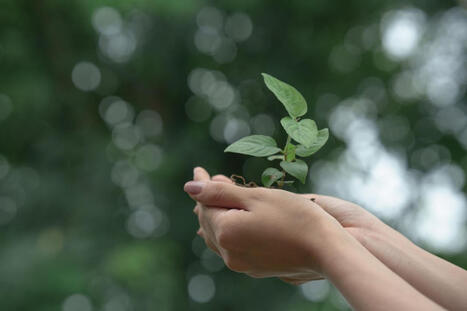 One Health : notre sant&eacute; d&eacute;pend aussi de celle de la plan&egrave;te | Regards crois&eacute;s sur la transition &eacute;cologique | Scoop.it