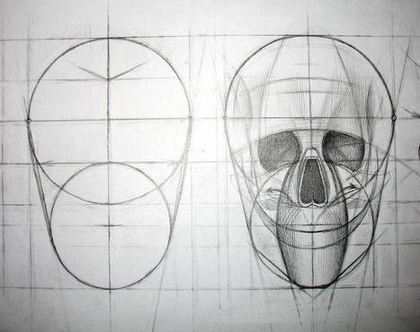 Human Skull / Stages of drawing construction - detail II | Drawing References and Resources | Scoop.it