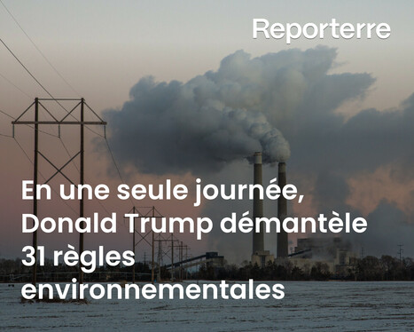En une seule journée, Donald Trump démantèle 31 règles environnementales | Variétés entomologiques | Scoop.it
