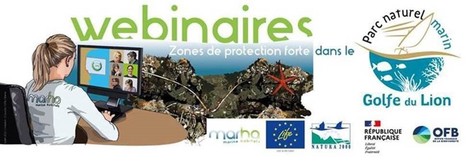 Webinaire #9 : Les zones de protection forte : méthodes de déploiement dans le Parc naturel marin du Golfe du Lion | Biodiversité | Scoop.it