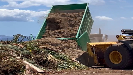 Hawaii Organics Compost opens green waste recycling facility | Industry 411 - Waste Management | Scoop.it