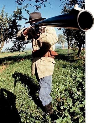 Roms : Hollande pri&eacute; d&rsquo;abolir le permis de chasse | Chronique des Droits de l'Homme | Scoop.it