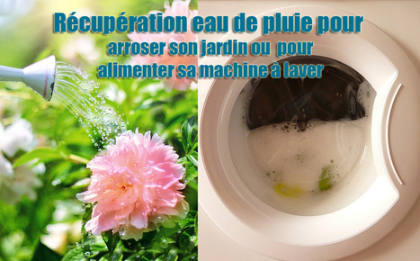 Pompe Récupération eau de pluie arroser jardin alimenter machine à laver | Actualités, Communiqués Presse, Nouveautés, Infos... | Scoop.it