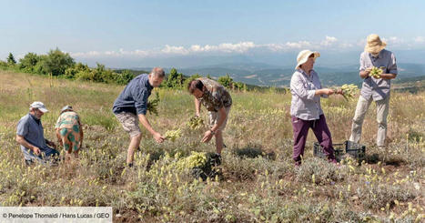 En Grèce, dans les pas des jardiniers de l'Olympe | Biodiversité - @ZEHUB on Twitter | Scoop.it