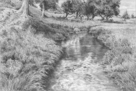 DRAWING GRASS and WEEDS tutorial by Diane Wright | Drawing and Painting Tutorials | Scoop.it