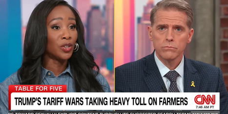 ‘Make it make sense!’ GOP strategist shut down after downplaying Trump tariff blowback - Raw Story | Backstabber Watch | Scoop.it