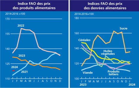 L’Indice FAO des prix des produits alimentaires a poursuivi sa baisse en janvier | Lait de Normandie... et d'ailleurs | Scoop.it