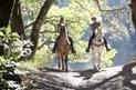 L’équitation : plus qu’un loisir, une discipline passionnante | Cheval et Nature | Scoop.it