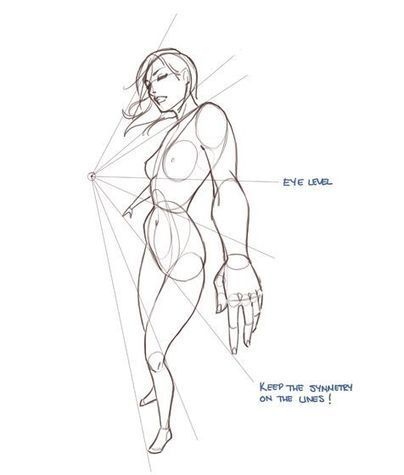 Female Proportions Reference Guide