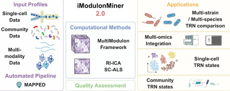 iModulonMiner 2.0: multi-modality modularization of prokaryotic bulk, single-cell, and community omics data | nar | RMH | Scoop.it
