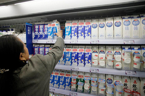 Le lait suisse cartonne en Chine | Lait de Normandie... et d'ailleurs | Scoop.it