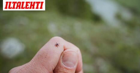 Voiko punkin heittää vessanpönttöön? | 1Uutiset - Lukemisen tähden | Scoop.it