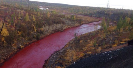 Une rivière devient rouge vif en Russie / le 08.09.2016 | Pollution accidentelle des eaux par produits chimiques | Scoop.it