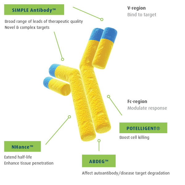 Aberrant bispecific antibody l...