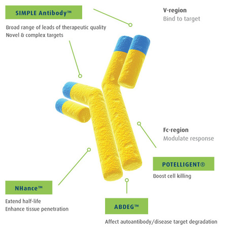 Antibody Drug Conjugate (ADC) Companies | | Immunology and Biotherapies | Scoop.it