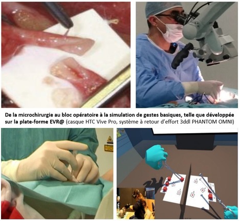 FOCUS PLATEFORME : EVR@ développe des simulateurs virtuels pour l’apprentissage de gestes médicaux en partenariat avec Genopole et le Centre Hospitalier Sud Francilien | Life Sciences Université Paris-Saclay | Scoop.it