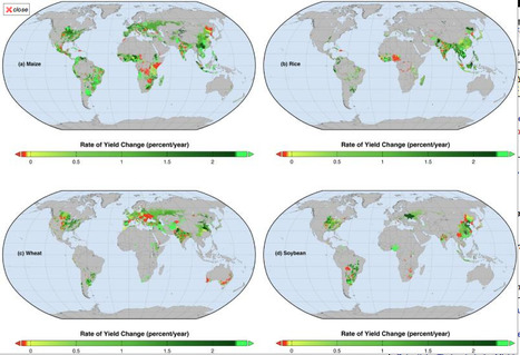 Current global food production trajectory won't meet 2050 needs... and solutions do exist ! | Nouveaux paradigmes | Scoop.it