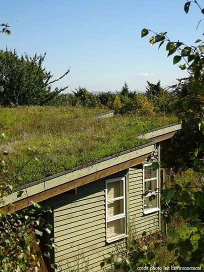 Guide de V&eacute;g&eacute;talisation pour Petites Toitures | Nature en ville | Scoop.it