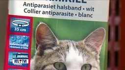 [Belgique] Retrait de la vente de colliers pour chats contenant un produit toxique (+vidéo) | Toxique, soyons vigilant ! | Scoop.it