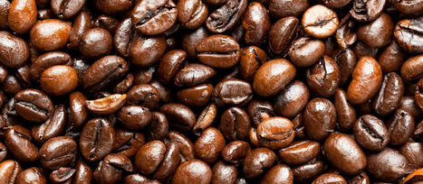 CAFÉ ROBUSTA : le Brésil bouscule la domination vietnamienne | ALIMENTATIONS | Scoop.it