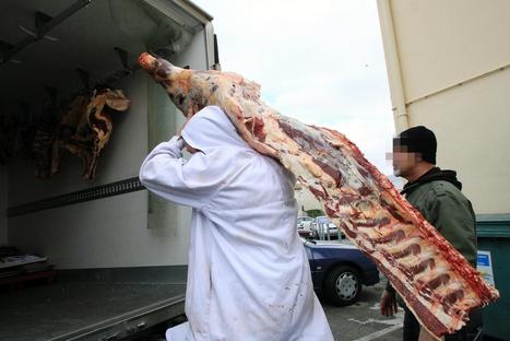 Un an après le scandale des lasagnes au cheval, la transparence pas garantie | La Gazette des abattoirs | Scoop.it