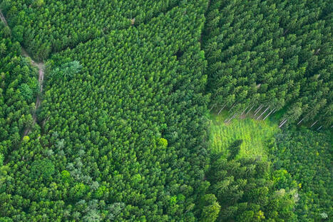La Creuse anticipe le réchauffement climatique | Revue de presse économique du Sud Touraine | Scoop.it