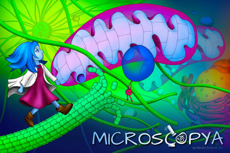 Microscopya | Tools for Teachers & Learners | Scoop.it