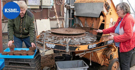 Kev&auml;t on puutarhayritt&auml;jille rankkaa aikaa &ndash; n&auml;in kes&auml;kukkakauppa on muuttunut | Keski-Suomi | 1Uutiset - Lukemisen t&auml;hden | Scoop.it