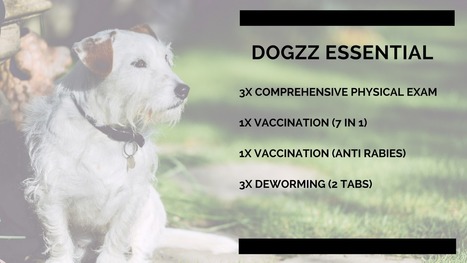 dog clinic near me