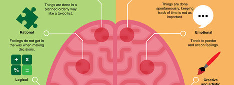 Infographic: Left vs. Right Brain | UDL - Universal Design for Learning | Scoop.it