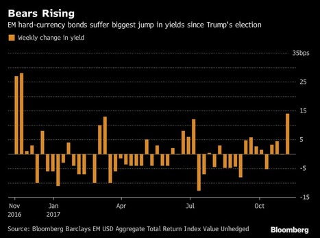 Emerging-Market Bonds See Biggest Yield Jump Since Trump Victory | International business & e-commerce | Scoop.it