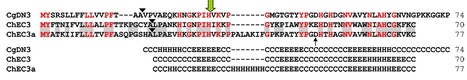 PLoS Path: Sequential Delivery of Host-Induced Virulence Effectors by Appressoria and Intracellular Hyphae of the Phytopathogen Colletotrichum higginsianum (2012) | Plant Pathogenomics | Scoop.it