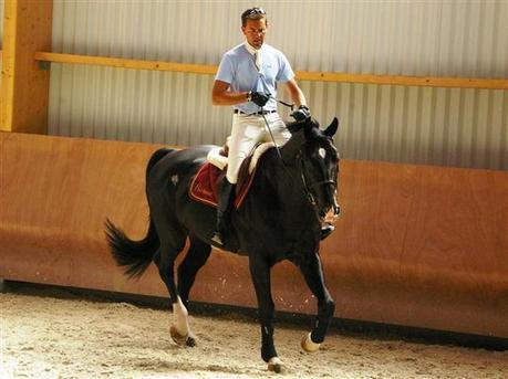 Chaintr&eacute; | Le roi Simon hait les r&ecirc;nes - Le Journal de Sa&ocirc;ne et Loire | Cheval et sport | Scoop.it