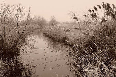 Sepia: The Forgotten Film Simulation /&nbsp;Fuji X Weekly (Ritchie Roesch) | Fujifilm X Series APS C sensor camera | Scoop.it
