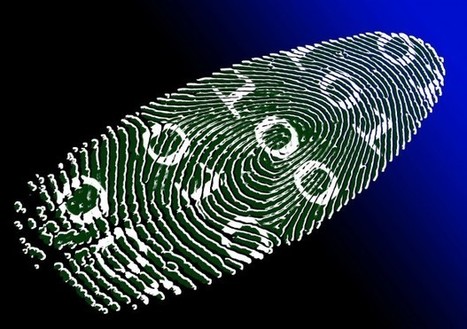 5 consejos que te ayudarán a evitar el robo de identidad | TIC & Educación | Scoop.it