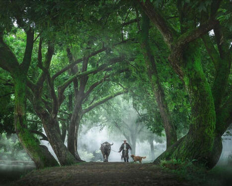 #china #photo #expo #geneva #chine #placedesnations | Maxime Blondeau | Kunming-Yunnan | Scoop.it