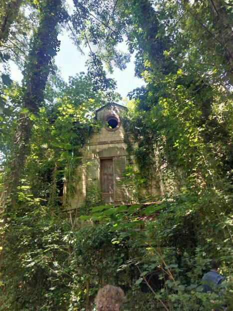 Val-d'Oise : cette île sur l'Oise bientôt classée Espace naturel sensible | Environnement, paysage et biodiversité | Scoop.it