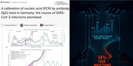 BREAKING: 86% of PCR-Positive &ldquo;COVID Cases&rdquo; Were Not Real Infections | Health Supreme | Scoop.it