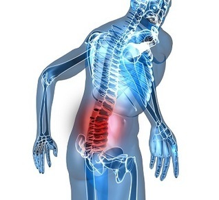 What’s Causing Neck & Lower Back Pain after a Car Accident? - | Personal Injury Attorney News | Scoop.it