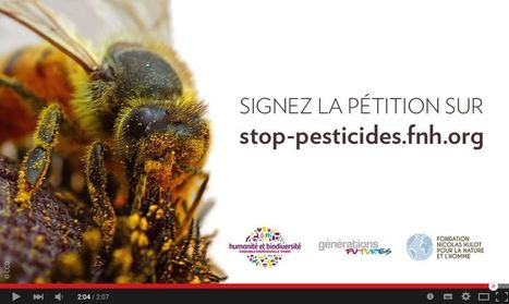 Pour un moratoire sur les pesticides néonicotinoïdes | Variétés entomologiques | Scoop.it