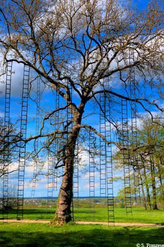 François Méchain: "The tree scales" | Art Installations, Sculpture, Contemporary Art | Scoop.it