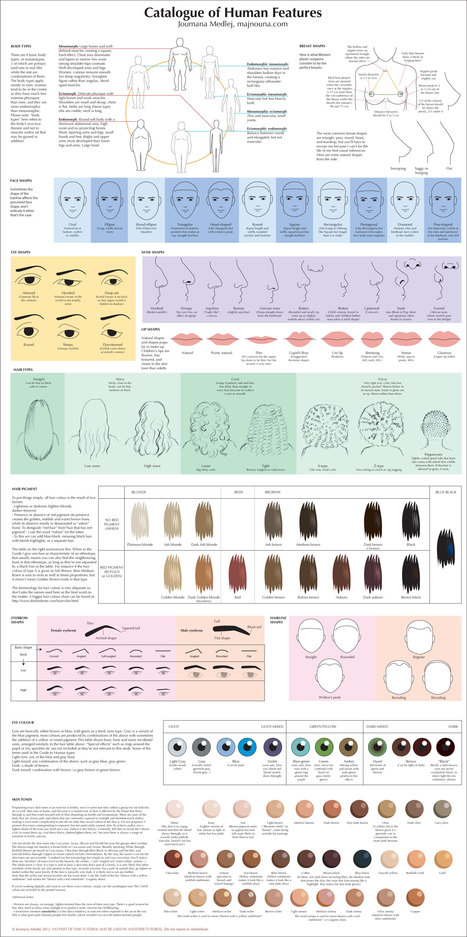 Catalog of Human features | Drawing References and Resources | Scoop.it