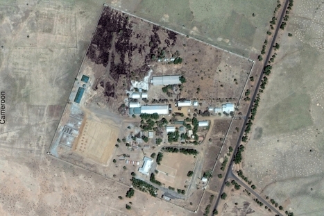 Cameroonian Troops Tortured and Killed Prisoners at Base Used for #US Drone Surveillance #Cameroun #Torture #USA | News in english | Scoop.it