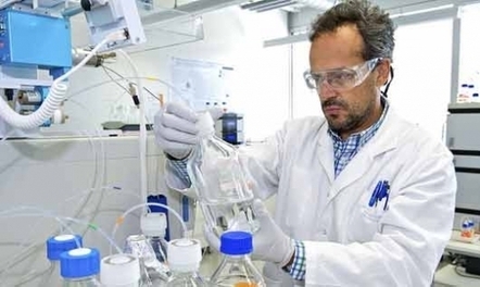 Nestlé développe la recherche alimentaire sur la biotransformation avec A*Star | Les nouvelles cultures de l'alimentaire | Scoop.it